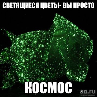 Лот: 9191492. Фото: 1. Живые светящиеся цветы тюльпаны... Подарки на 8 марта