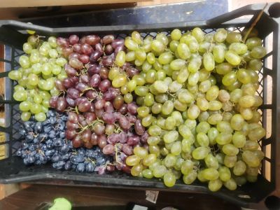 Лот: 19433358. Фото: 1. Лот №5, виноград. Овощи, фрукты, зелень