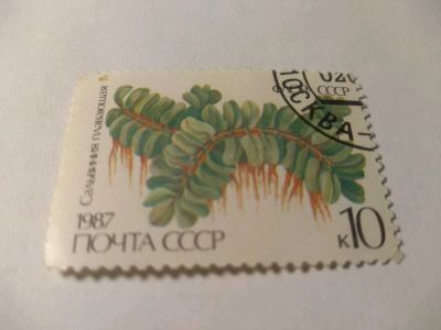 Лот: 13939224. Фото: 1. Марка ссср флора 1987. Марки
