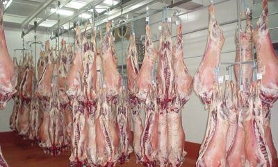 Лот: 5057207. Фото: 1. Баранина оптом (только тушами). Мясо, птица, яйцо