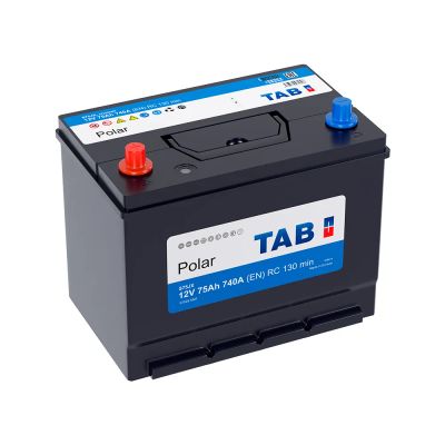Лот: 25722196. Фото: 1. Аккумулятор TAB Polar S Asia 75... Аккумуляторы