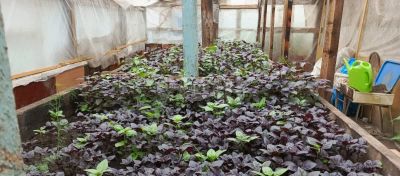 Лот: 25548903. Фото: 1. 3-комн. дом , Красноярск Бохтинский... Дома