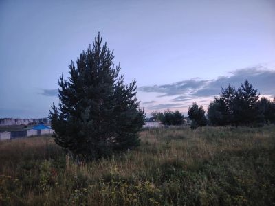 Лот: 25668000. Фото: 1. Земельный участок. Земельные участки