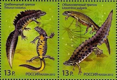 Лот: 12338442. Фото: 1. 2012, 25 июня. Фауна. Тритоны... Марки