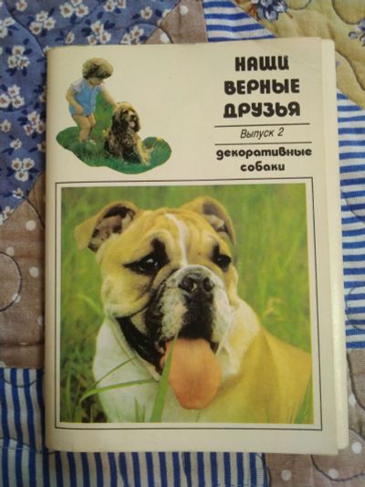 Лот: 23700272. Фото: 1. Открытки Собаки. Открытки, конверты