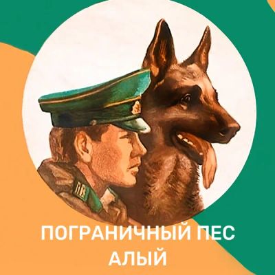 Лот: 24862783. Фото: 1. Пограничный пес Алый. Видеозаписи, фильмы