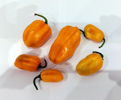 Лот: 14573176. Фото: 1. Плод перца Aji umba yellow. Острый... Овощи, фрукты, зелень