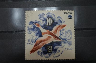 Лот: 3962001. Фото: 1. марка 62 СССР 1975 морянка фауна. Марки