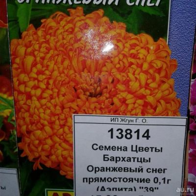 Лот: 9115561. Фото: 1. Семена / Цветы / Бархатцы / Оранжевый... Садовые цветы