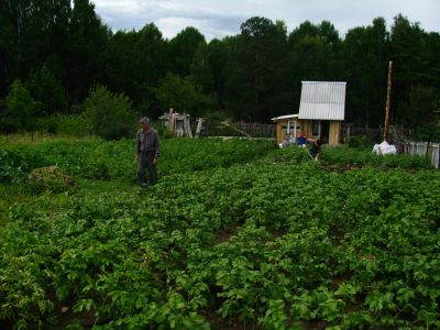 Лот: 4003376. Фото: 1. продам дачу пл. Колягино. Дачи