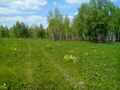 Лот: 4917910. Фото: 1. ДНТ "Зеленые горки" Кузнецово. Земельные участки