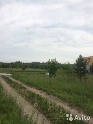Лот: 10011636. Фото: 1. Продам участок 7 соток. п.Березовка... Земельные участки