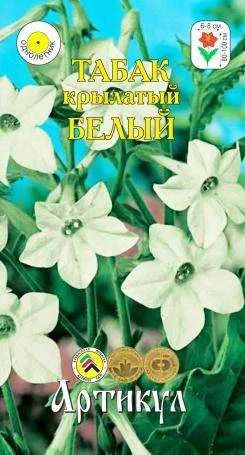 Лот: 11024456. Фото: 1. Табак крылатый белый 0,05 г /Артикул. Садовые цветы