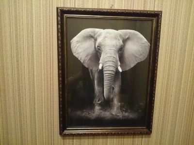 Лот: 11634182. Фото: 1. Картина "Слон" в раме. Холсты чистые