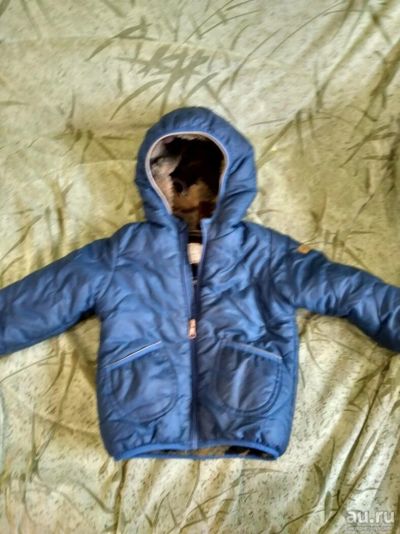 Лот: 9153273. Фото: 1. Куртка. Zara. Верхняя одежда