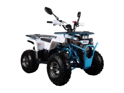Лот: 25581595. Фото: 1. Квадроцикл AURA 125 Premium. Снегоходы, квадроциклы