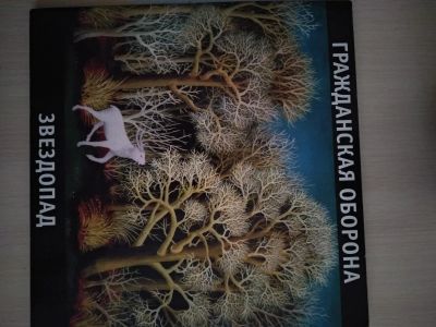 Лот: 16973173. Фото: 1. Пластинка "Гражданская оборона... Аудиозаписи
