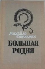 Лот: 4228038. Фото: 1. Михайло Стельмах - "Большая родня... Художественная