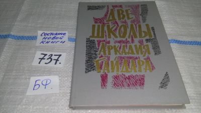 Лот: 11606884. Фото: 1. Две школы Аркадия Гайдара, Аркадий... Познавательная литература