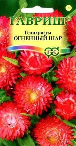 Лот: 11024725. Фото: 1. Гелихризум Огненный шар* 0,2 г... Садовые цветы