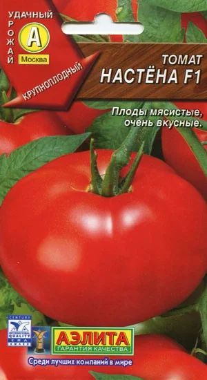 Лот: 3937102. Фото: 1. Томат (помидоры) Настена (рассада... Другое (семена, рассада, садовые растения)