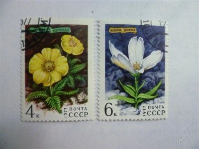 Лот: 2663602. Фото: 1. марка цветы 1977. Марки