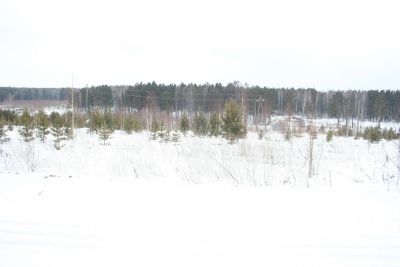 Лот: 5240871. Фото: 1. Земельный участок, Емельяновский... Земельные участки