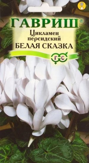 Лот: 9279526. Фото: 1. Сеянец цикламена Белая сказка. Горшечные растения и комнатные цветы