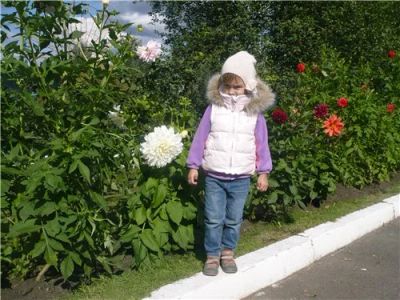 Лот: 5300941. Фото: 1. Жилет. Верхняя одежда