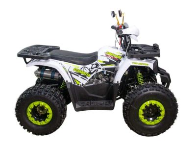 Лот: 25788125. Фото: 1. Квадроцикл RAPTOR Sport Spirit... Снегоходы, квадроциклы