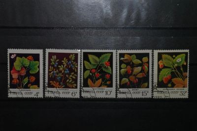 Лот: 3900913. Фото: 1. 1982 Дикорастущие ягоды (5205-5209... Марки