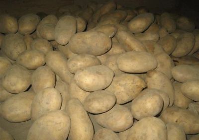 Лот: 6247783. Фото: 1. вкусный картофель доставка бесплатно. Картофель