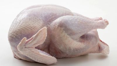 Лот: 8810268. Фото: 1. Индейка Деревнская Настоящая. Мясо, птица, яйцо