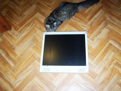 Лот: 1443148. Фото: 1. ЖК монитор ACER AL 712 отдам по... ЖК-мониторы
