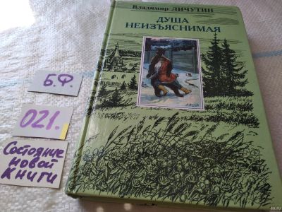Лот: 18198512. Фото: 1. Личутин В. Душа неизъяснимая... Художественная