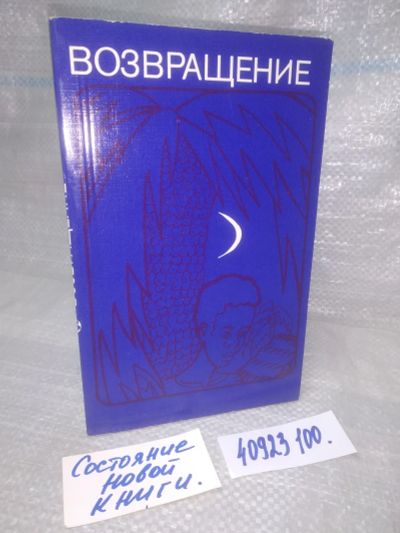 Лот: 25787066. Фото: 1. озю,вбр(40923100) Возвращение... Художественная