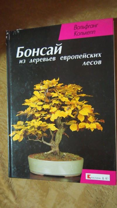 Лот: 8495725. Фото: 1. Бансай из деревьев европейских... Книги