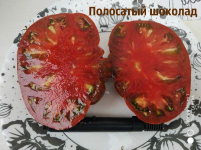 Лот: 17125608. Фото: 1. семена томата Полосатый шоколад... Овощи
