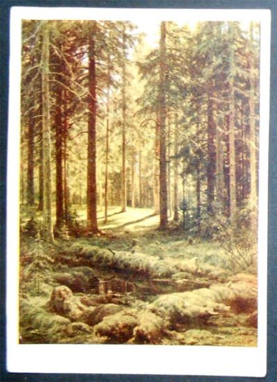 Лот: 7151127. Фото: 1. Открытка Шишкин. Лес. 1952. (10648о... Открытки, конверты