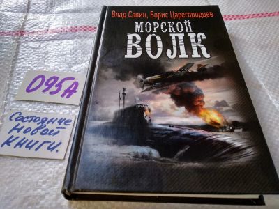 Лот: 18801683. Фото: 1. Влад Савин, Борис Царегородцев... Художественная