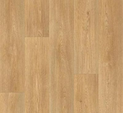 Лот: 6225074. Фото: 1. Линолеум Stars Columbian Oak 236M-5... Напольные покрытия