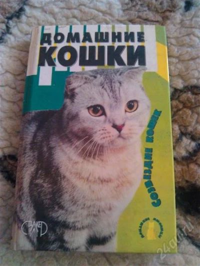 Лот: 2853426. Фото: 1. Книга. Домашние кошки. Домашние животные