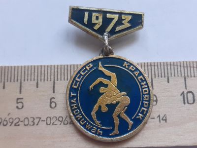 Лот: 18139474. Фото: 1. (№10731) значки спорт,Красноярск... Памятные медали