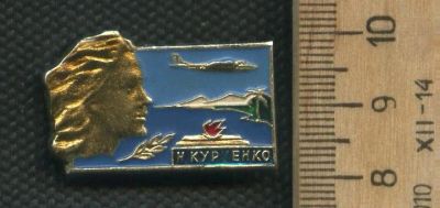Лот: 17648006. Фото: 1. ( № 8864 ) значки техника,Авиация... Сувенирные