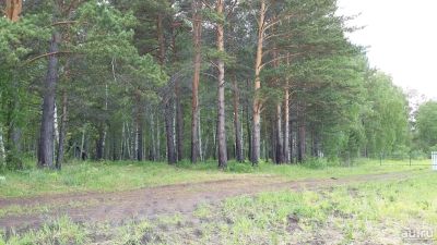Лот: 13554547. Фото: 1. Земельный участок. Земельные участки
