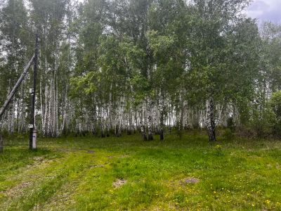 Лот: 25294740. Фото: 1. участок , село Шуваево Лесная... Земельные участки