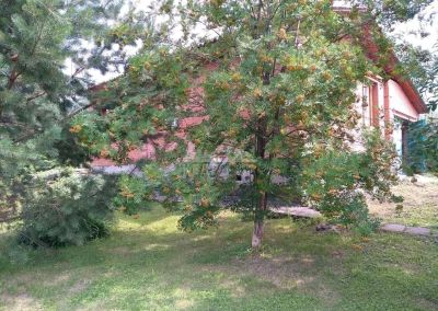 Лот: 14814463. Фото: 1. Продается дом 80 кв.м. 14 сот... Дачи