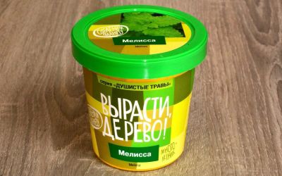 Лот: 12719904. Фото: 1. Вырасти дерево: Мелисса. Настольные игры, карты