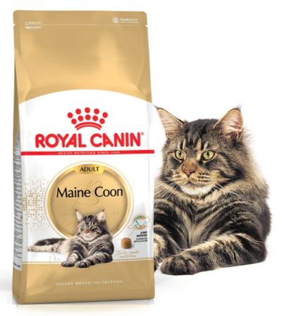 Лот: 16609927. Фото: 1. Royal Canin Maine coon (Роял канин... Корма