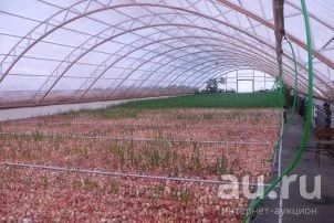 Лот: 4623021. Фото: 1. дом - усадьба фермера с земельным... Дома